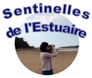 logo-sentinelle2