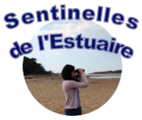 Sentinelles de l'Estuaire